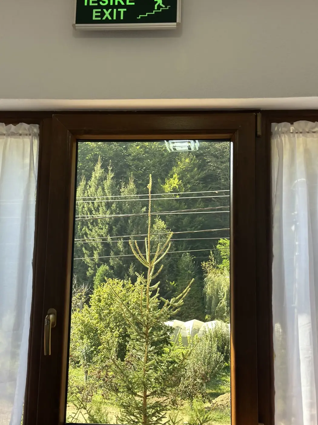 Fereastră cu vedere spre pădurea de brazi din camera Casa Suciu