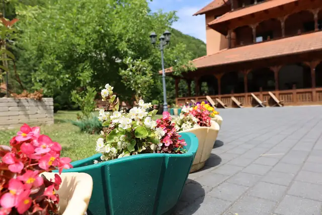 Jardiniere cu flori pe aleea pavată, cu Pensiunea Casa Suciu în fundal